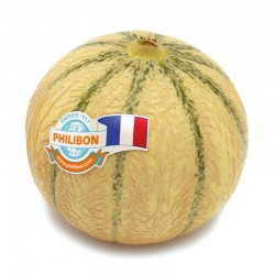 Melon Charentais Philibon pièce