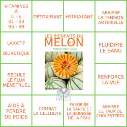 Melon Charentais Philibon pièce