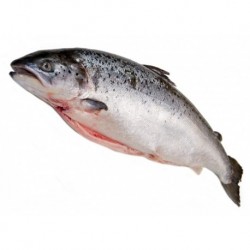 Tranche de filet de saumon à peau Ecosse 150 g