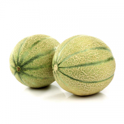 Melon Charentais pièce