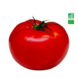 Tomate ronde bio 500 g
