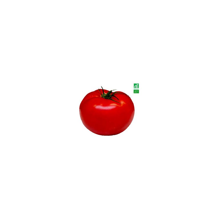 Tomate ronde bio 500 g