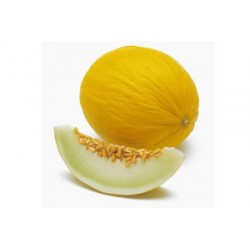 Melon jaune Espagne